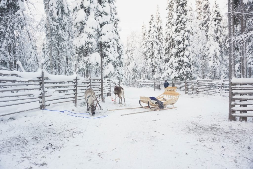 things to do in lapland with kids