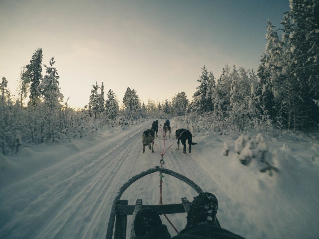 things to do in lapland with kids