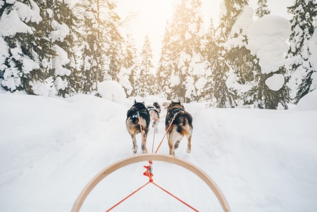 finland travel with kids - what to do