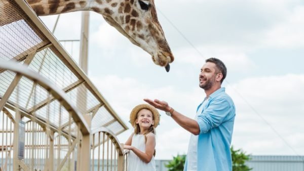 biggest zoos in the world