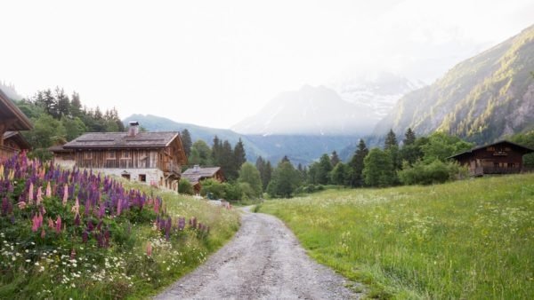 french alps in the summer