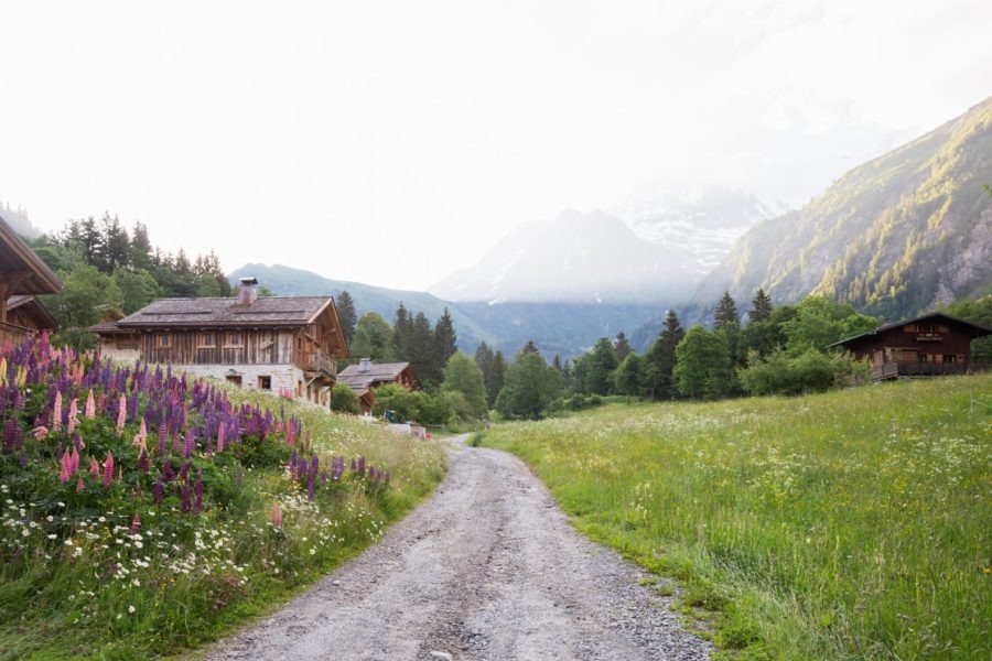 french alps in the summer