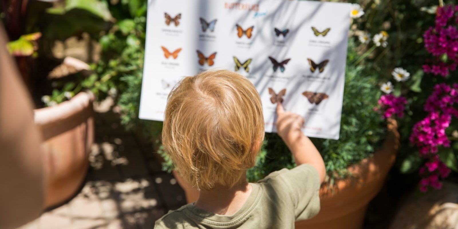 san francisco kids museums