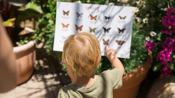 san francisco kids museums