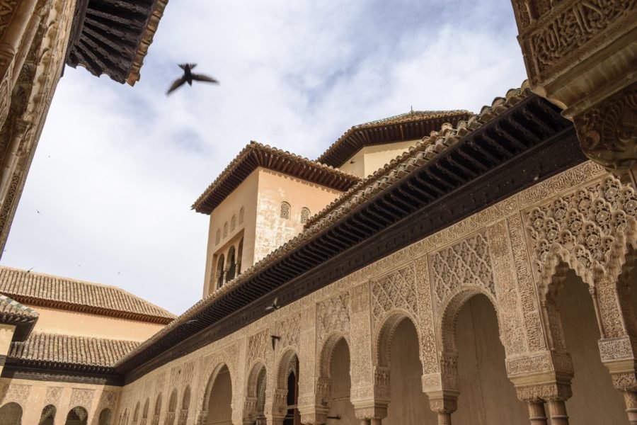 granada with kids