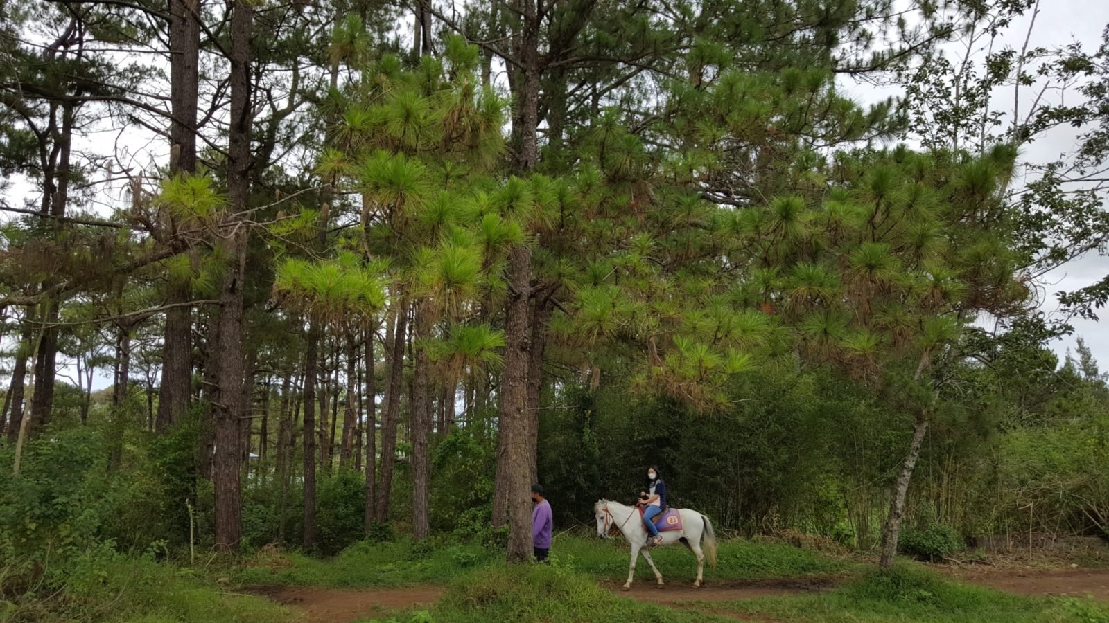 things to do in camp john hay