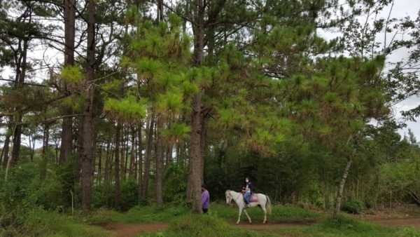things to do in camp john hay
