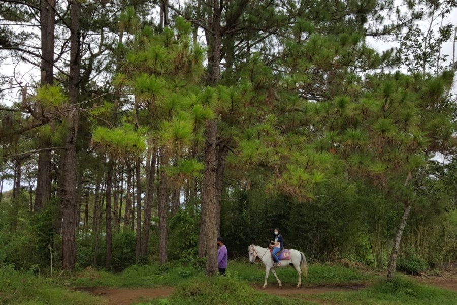 things to do in camp john hay