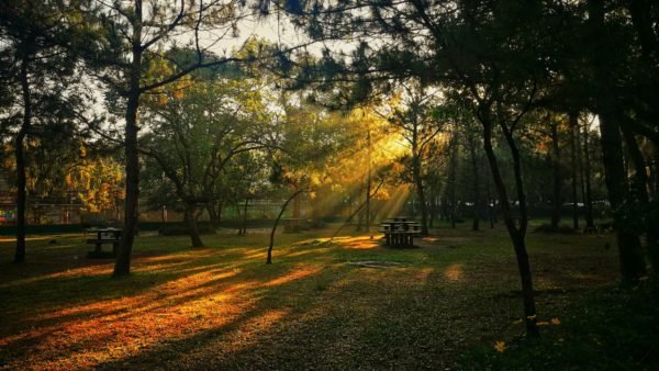 Baguio Itinerary for 2 Days