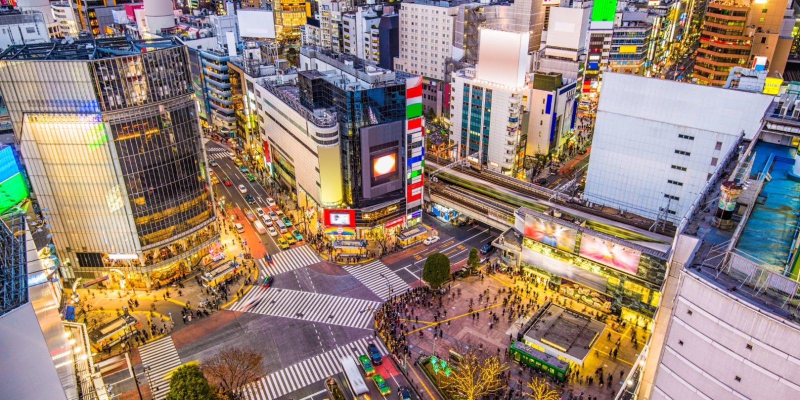family trip to tokyo