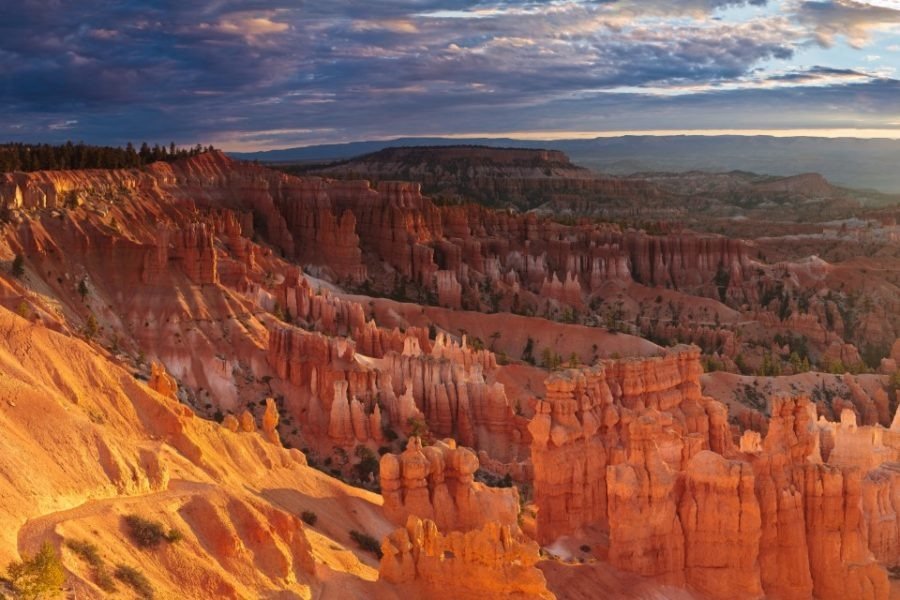 bryce canyon with kids