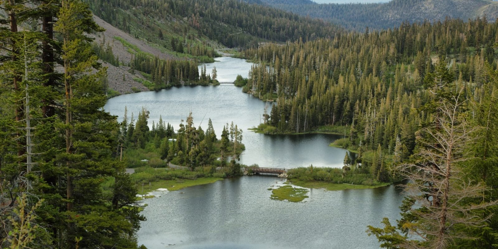 Mammoth Lakes fishing