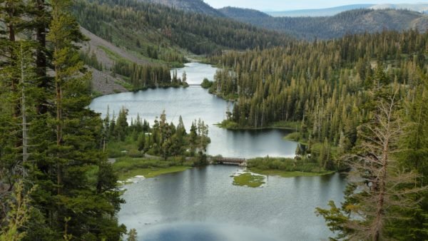 Mammoth Lakes fishing