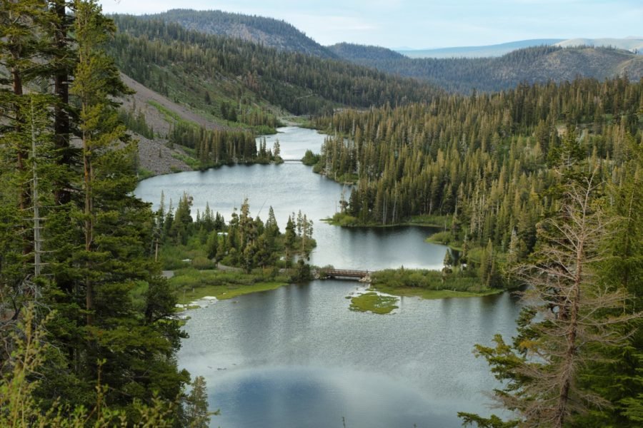 Mammoth Lakes fishing