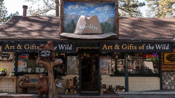 things to do in Idyllwild with kids