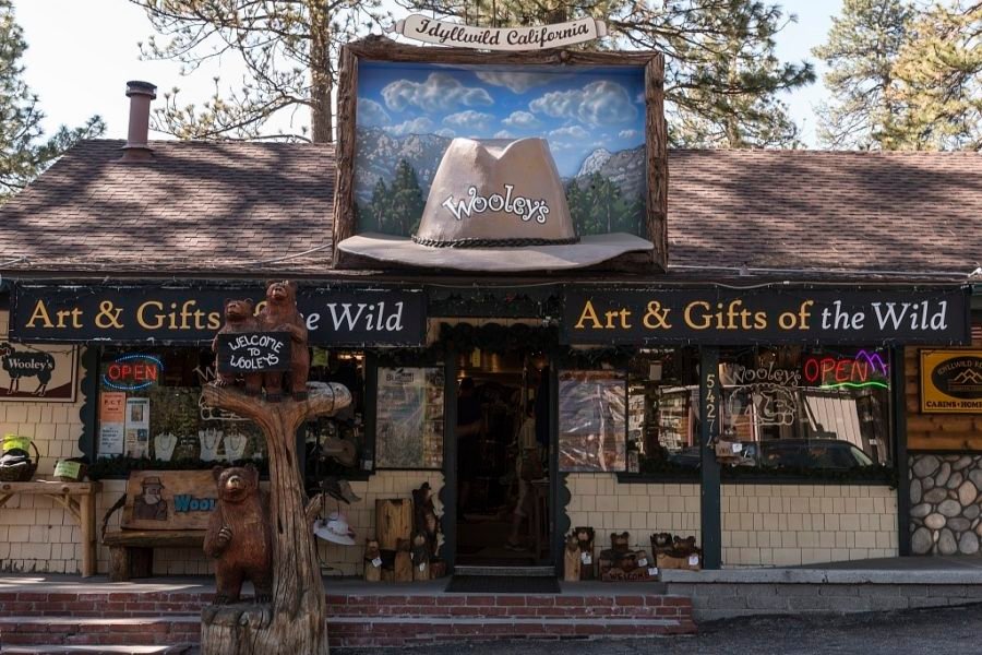 things to do in Idyllwild with kids