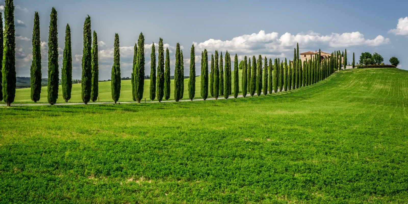 tuscany road trip