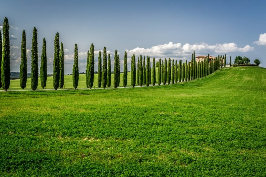 tuscany road trip