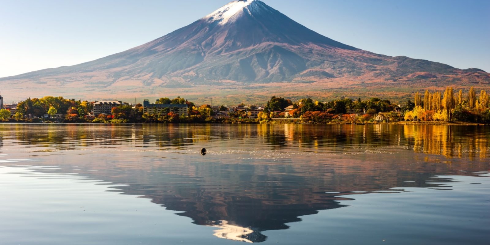 japan with kids