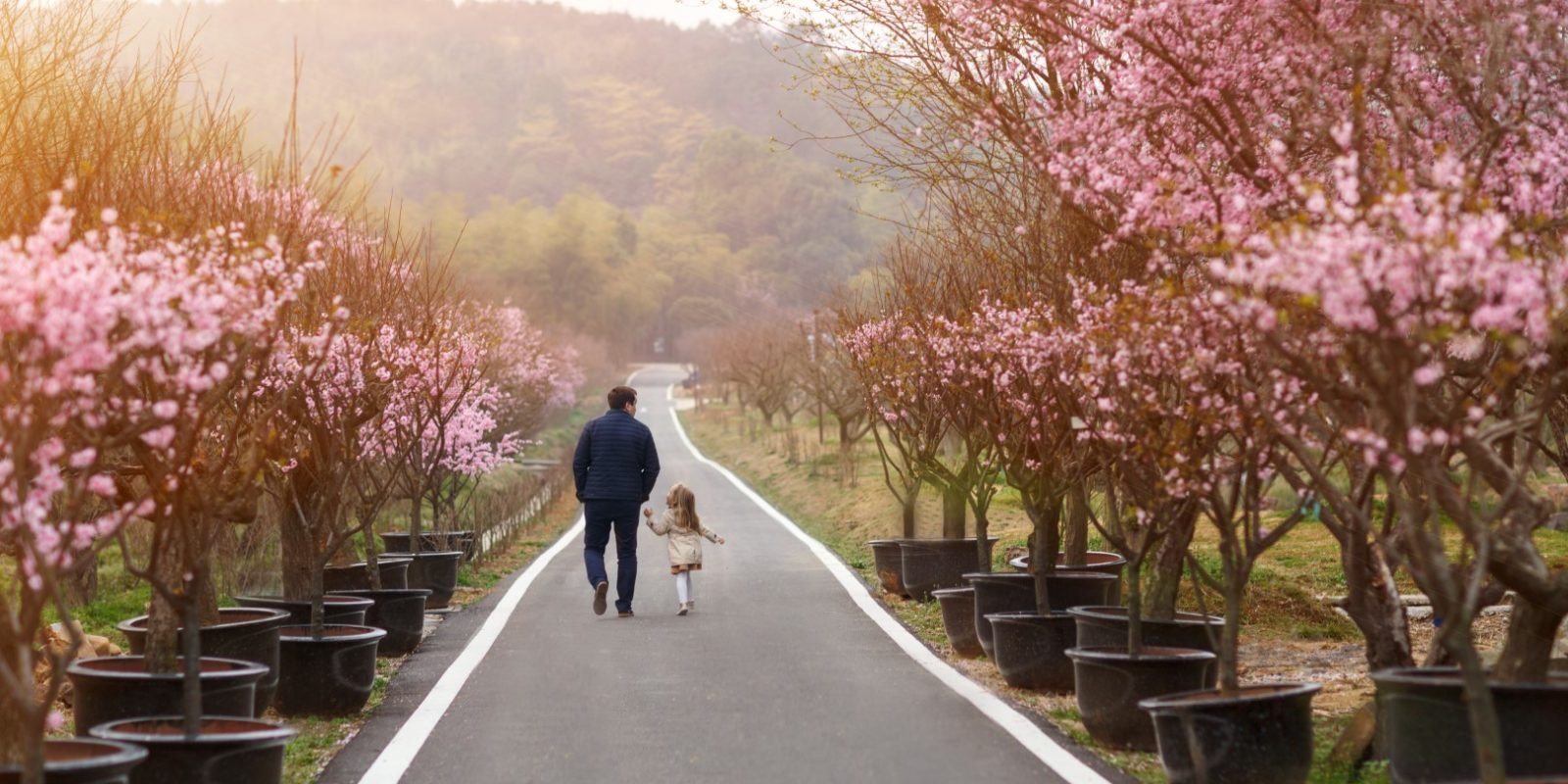 best times to visit south korea