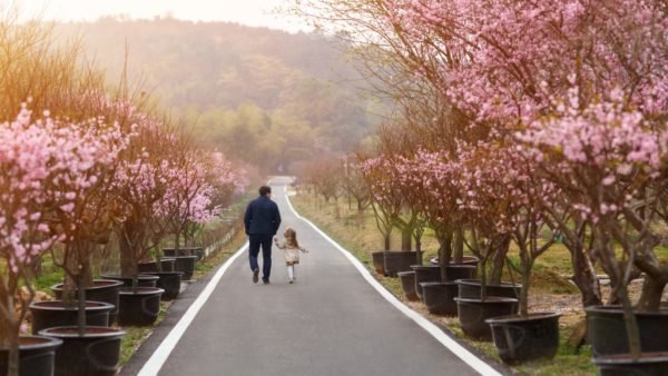 best times to visit south korea
