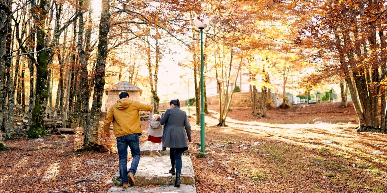 autumn in south korea