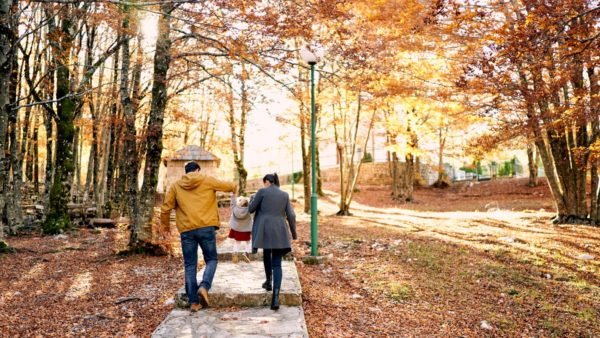 autumn in south korea