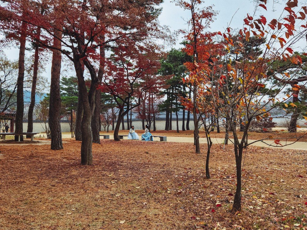 Seoul with teens