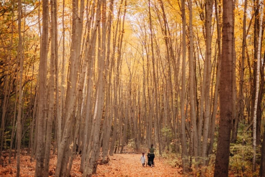 day trips from Seoul