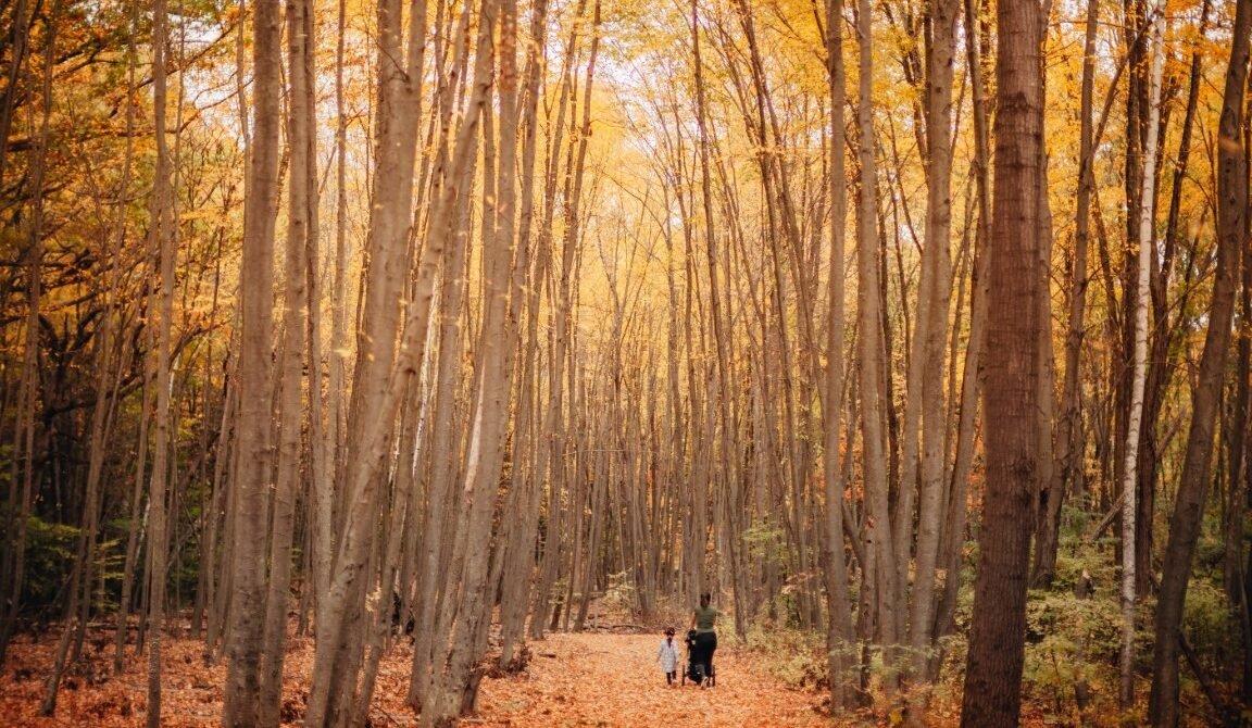 day trips from Seoul