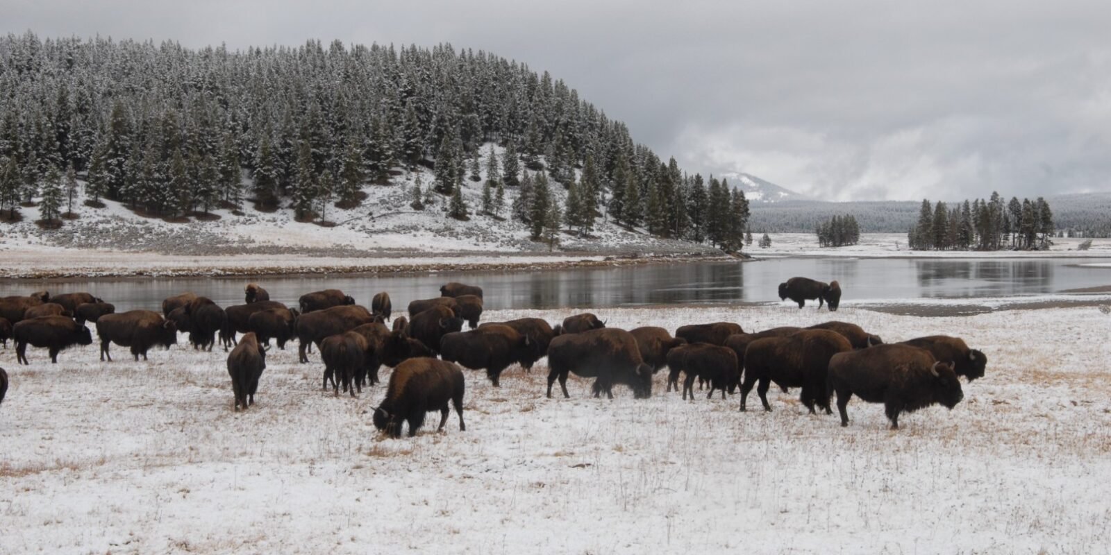 Best National Parks in the Winter for Familie