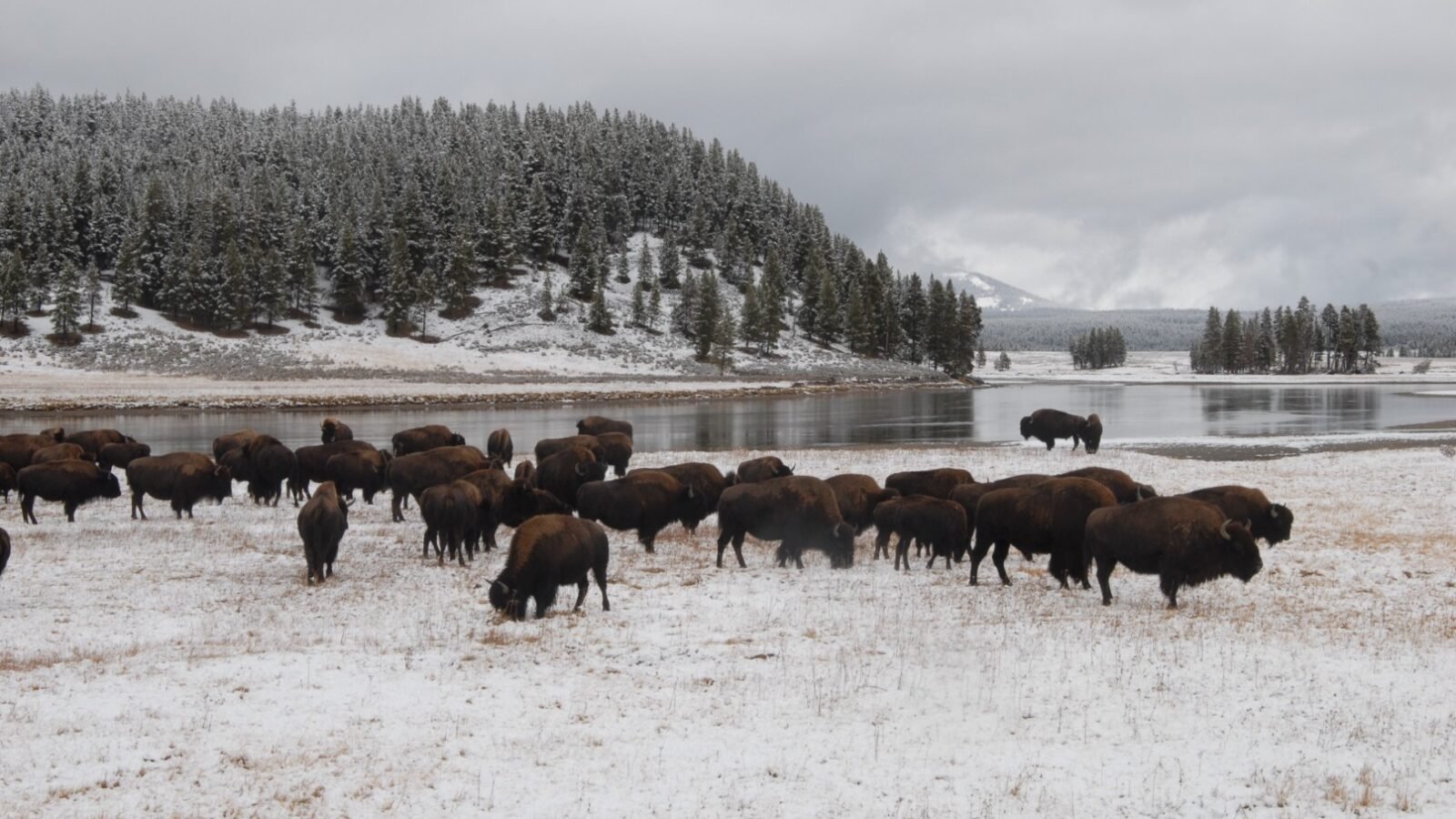 Best National Parks in the Winter for Familie