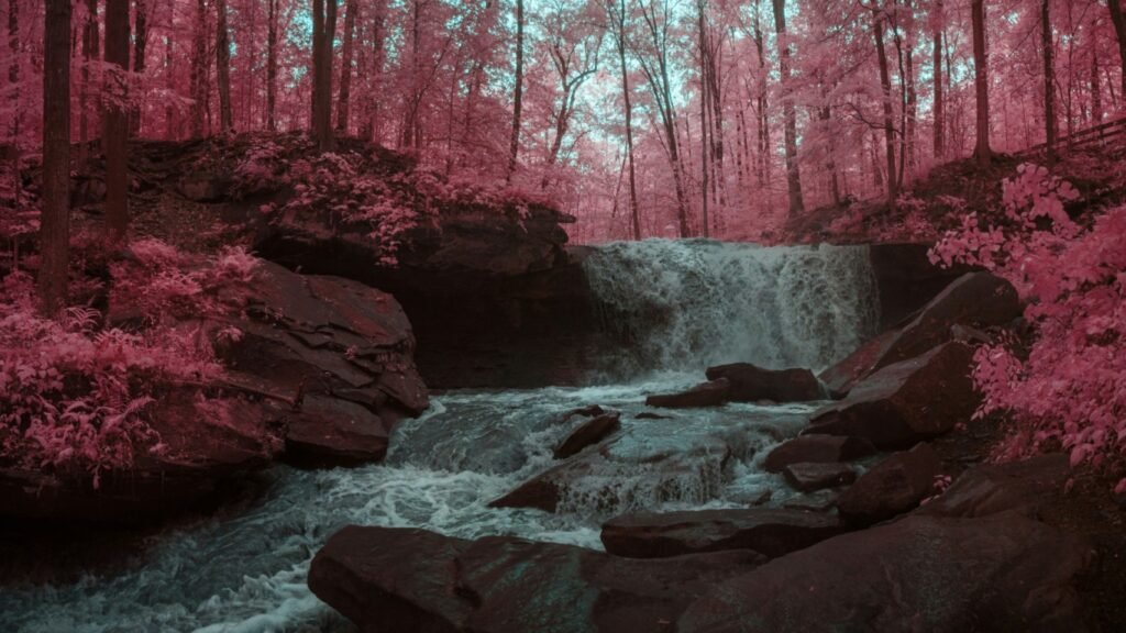 Best Midwest National Parks for Families - Cuyahoga Valley National Park