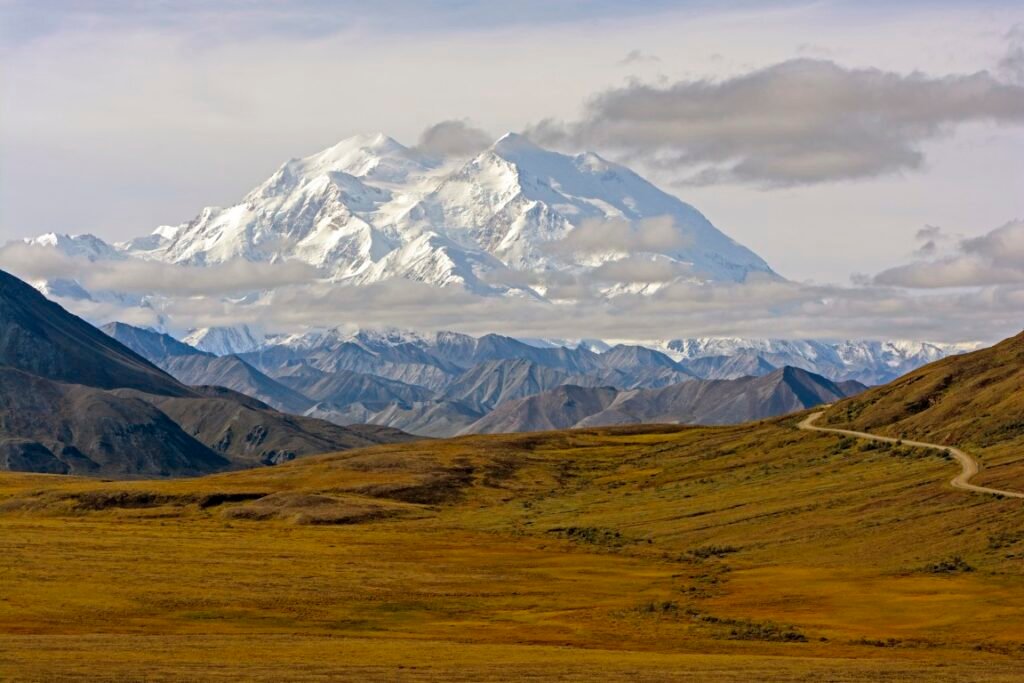 Best National Parks for Families -Denali National Park