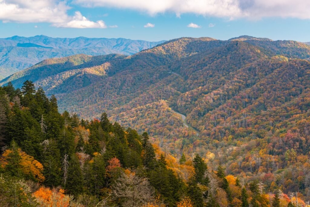 Best National Parks for Toddlers - Great Smoky Mountains National Park,