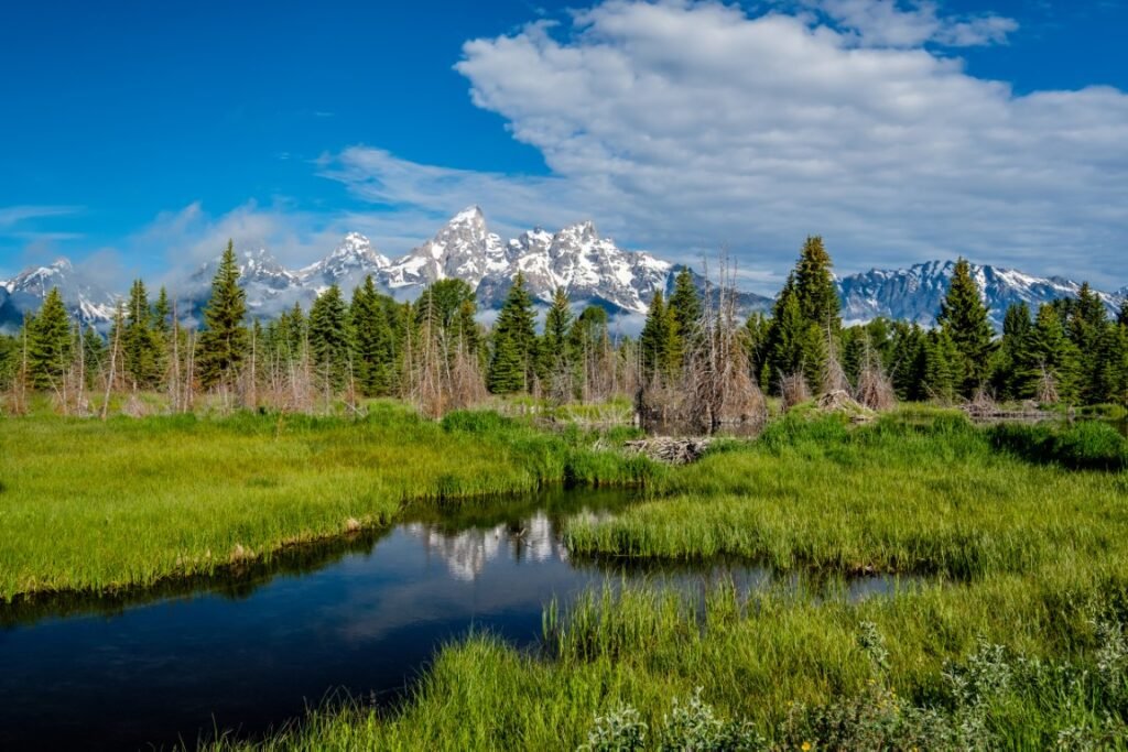 Best National Parks for Families -Grand Teton National Park