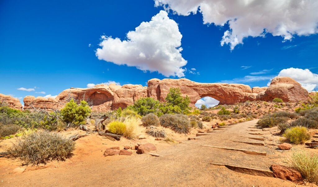 Best National Parks for Toddlers -White Sands National Park