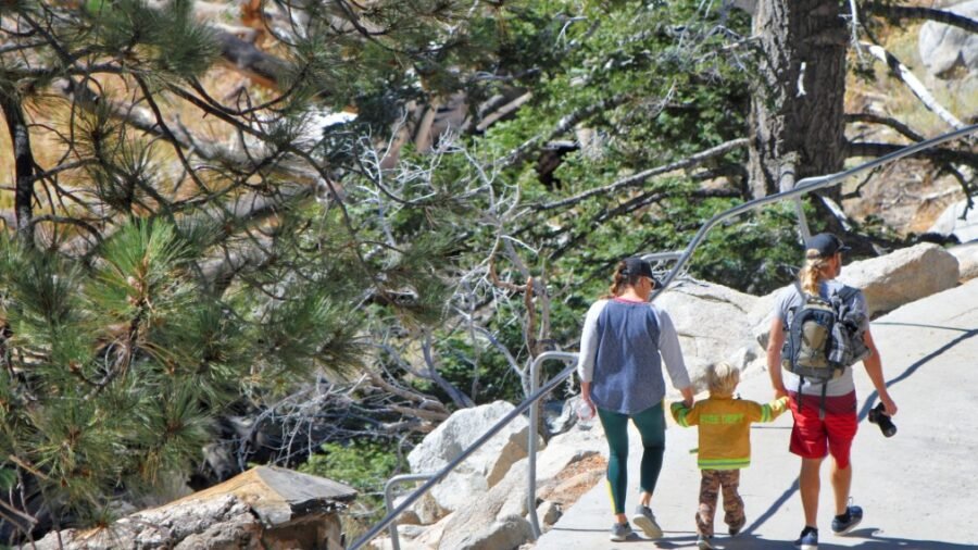 Best National Parks for Toddlers
