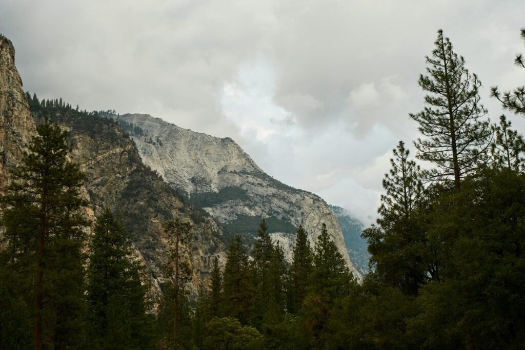 The Best National Parks to Visit in Summer with Kids -Kings Canyon National Park