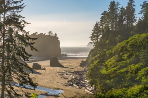 Best National Parks in the West Coast for Families