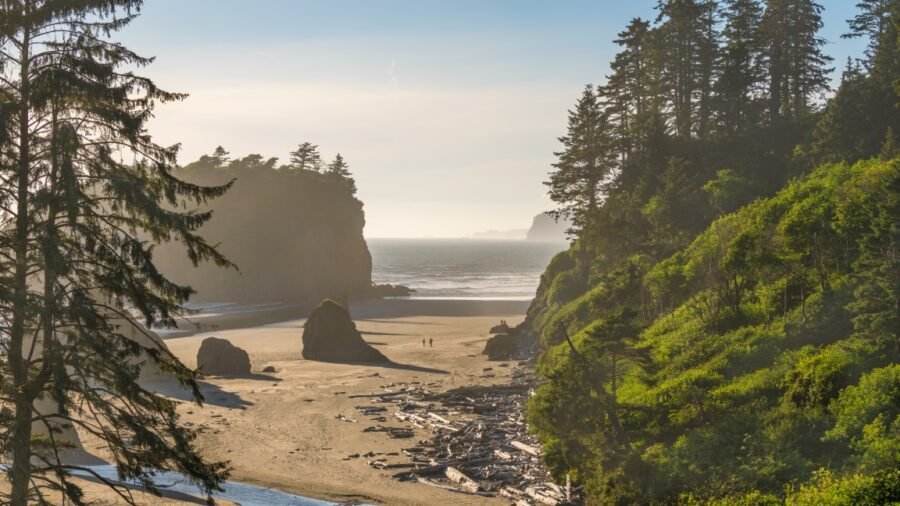 Best National Parks in the West Coast for Families
