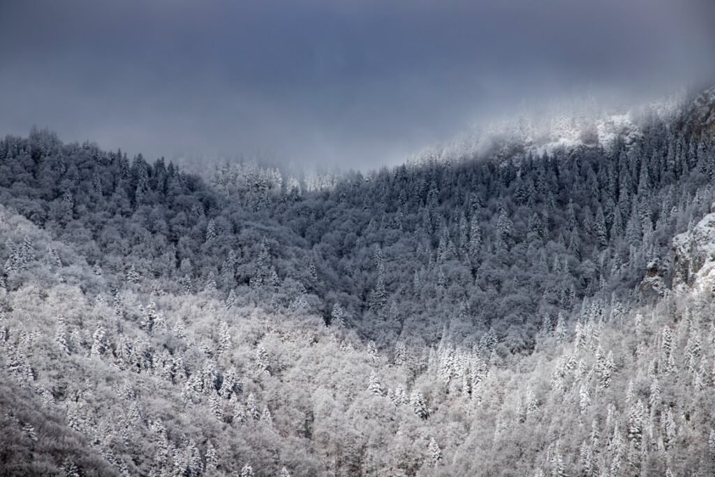 Best National Parks in the Winter for Families -