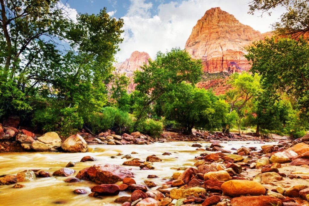 Best National Parks for Families -Zion National Park