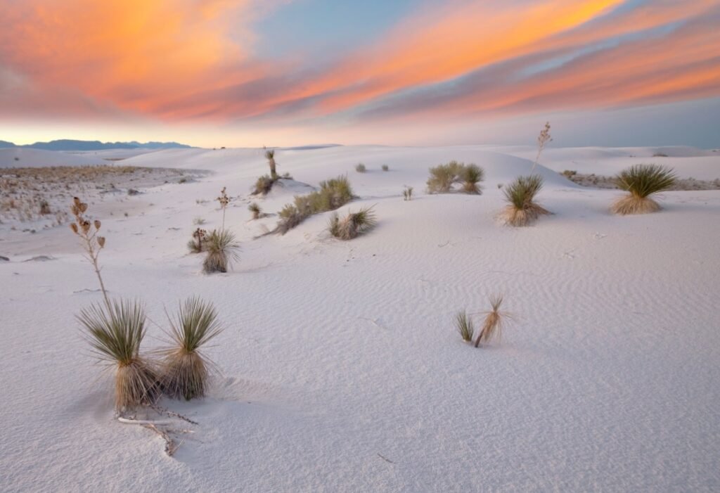 Best National Parks for Kids - White Sands National Monument