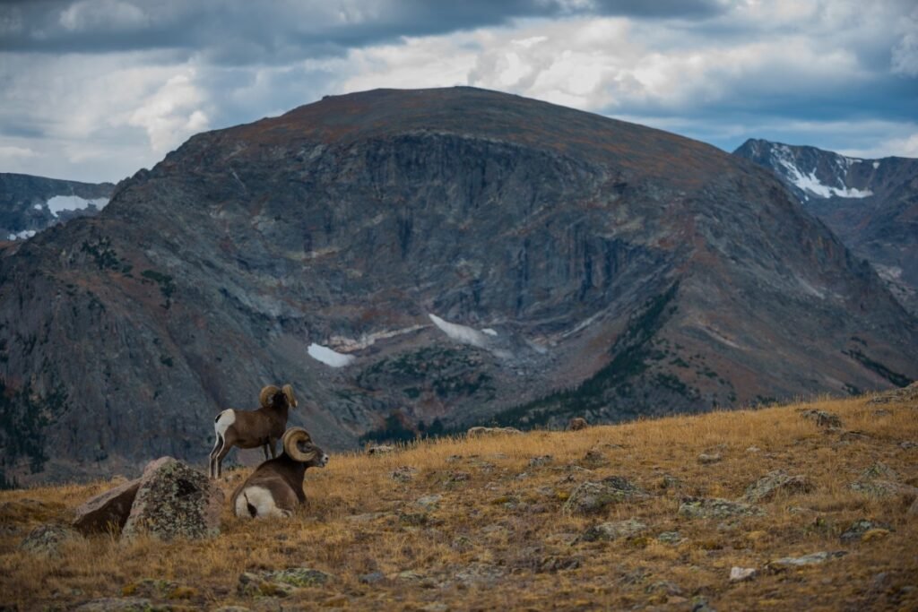 Best National Parks for Families -Rocky Mountain National Park