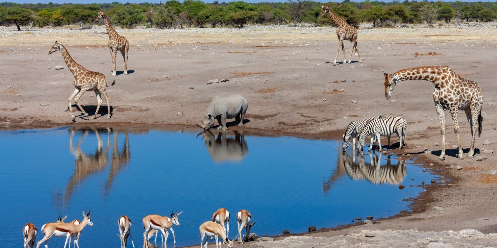 family safari in Namibia