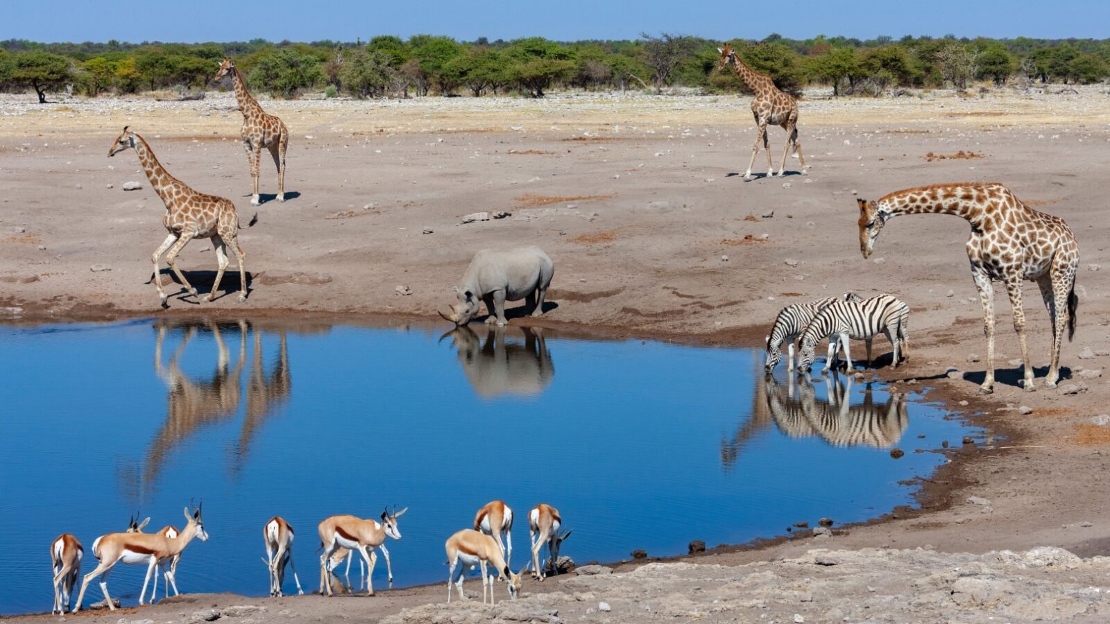 family safari in Namibia