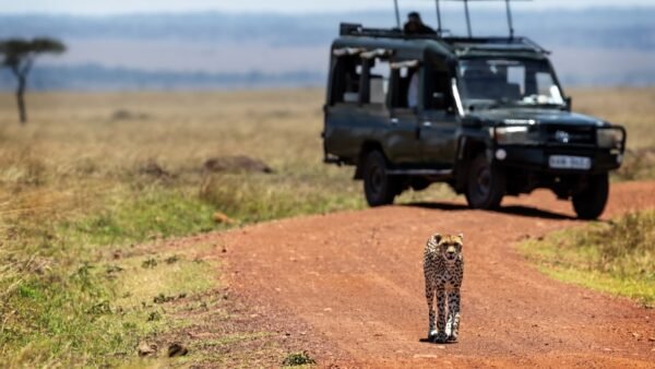 South Africa family safari