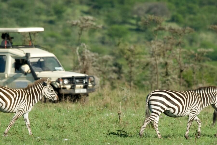 Tanzania family safari